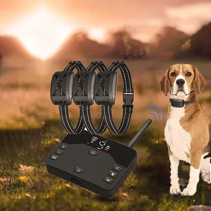 New 2 In 1 Wireless Automatic Alarm Dog Trainning Device