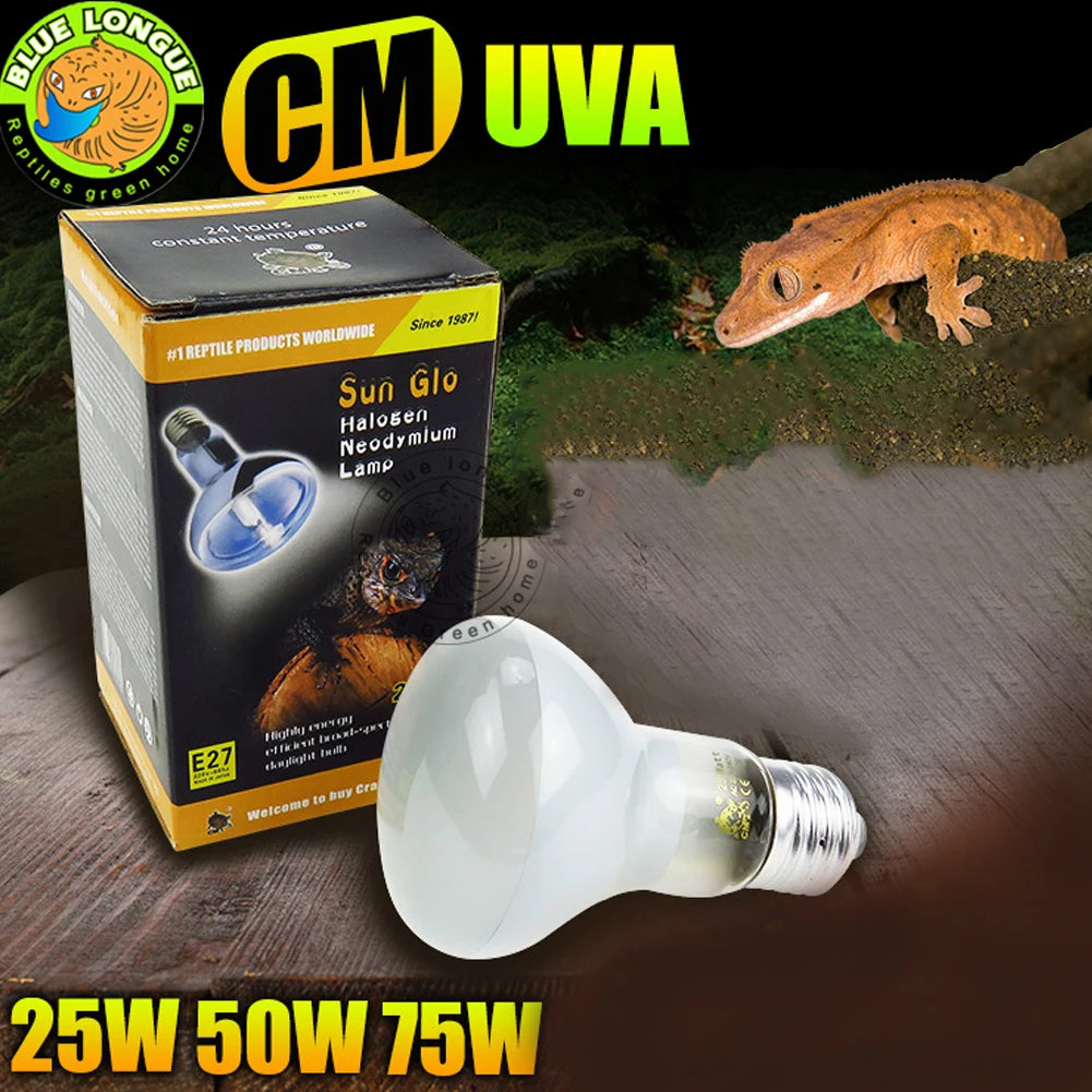 1PC 25W/50W/75W Uva Daylight Heater Lamp