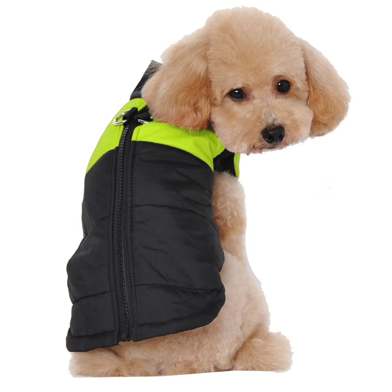 Waterproof Dog Coats Winter Small-Medium-Large Dogs