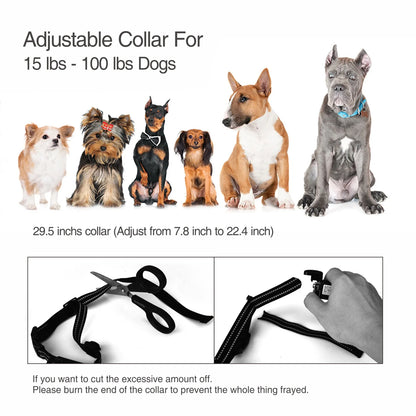 Electric Shock Collar IPX7 Waterproof Dog Training Collar with Remote