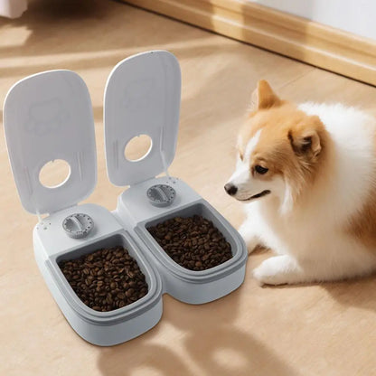 Automatic Feeder For Cats And Dogs With Timer Smart Food Dispenser