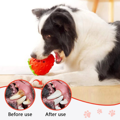 DualPet Dog Chew Toys Rubber Strawberry Shaped Food Leaking Toy Durable Eco-friendly Food Dispenser