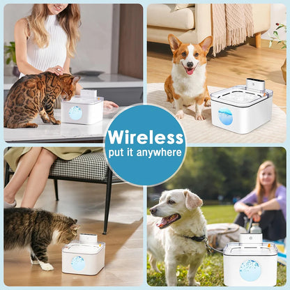 Large Cordless Smart Auto Pet Water Dispenser