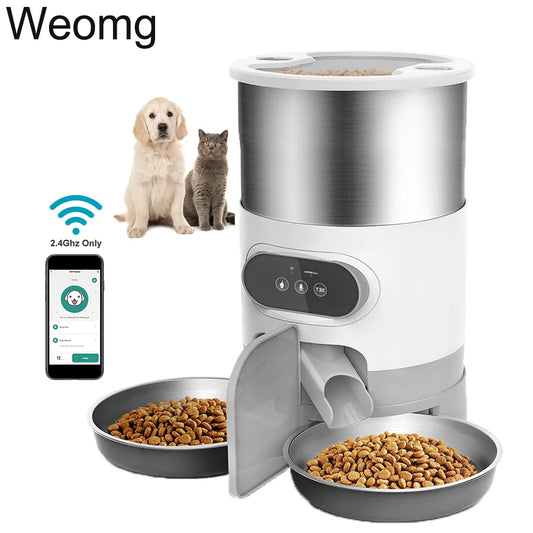 3.5L Double Meals Automatic Pet Feeder Smart Food Dispenser