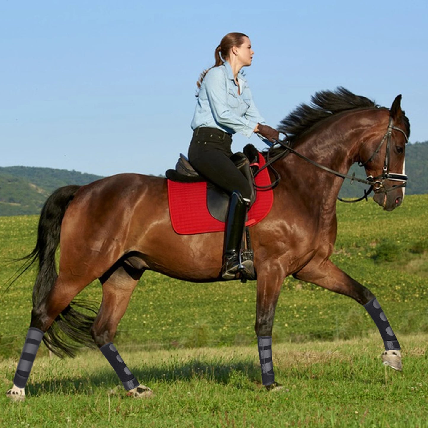 Horse Leg Guards Shock-Absorbing Protection Equestrian Training