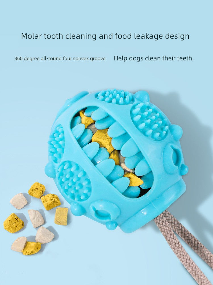 Self-Play Dog Toy