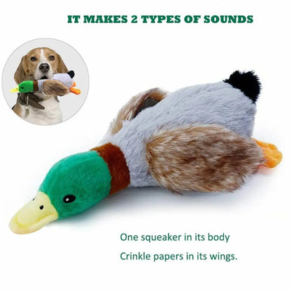 Funny Pet Toy Duck Shape Chew Toys For Dogs Squeaker